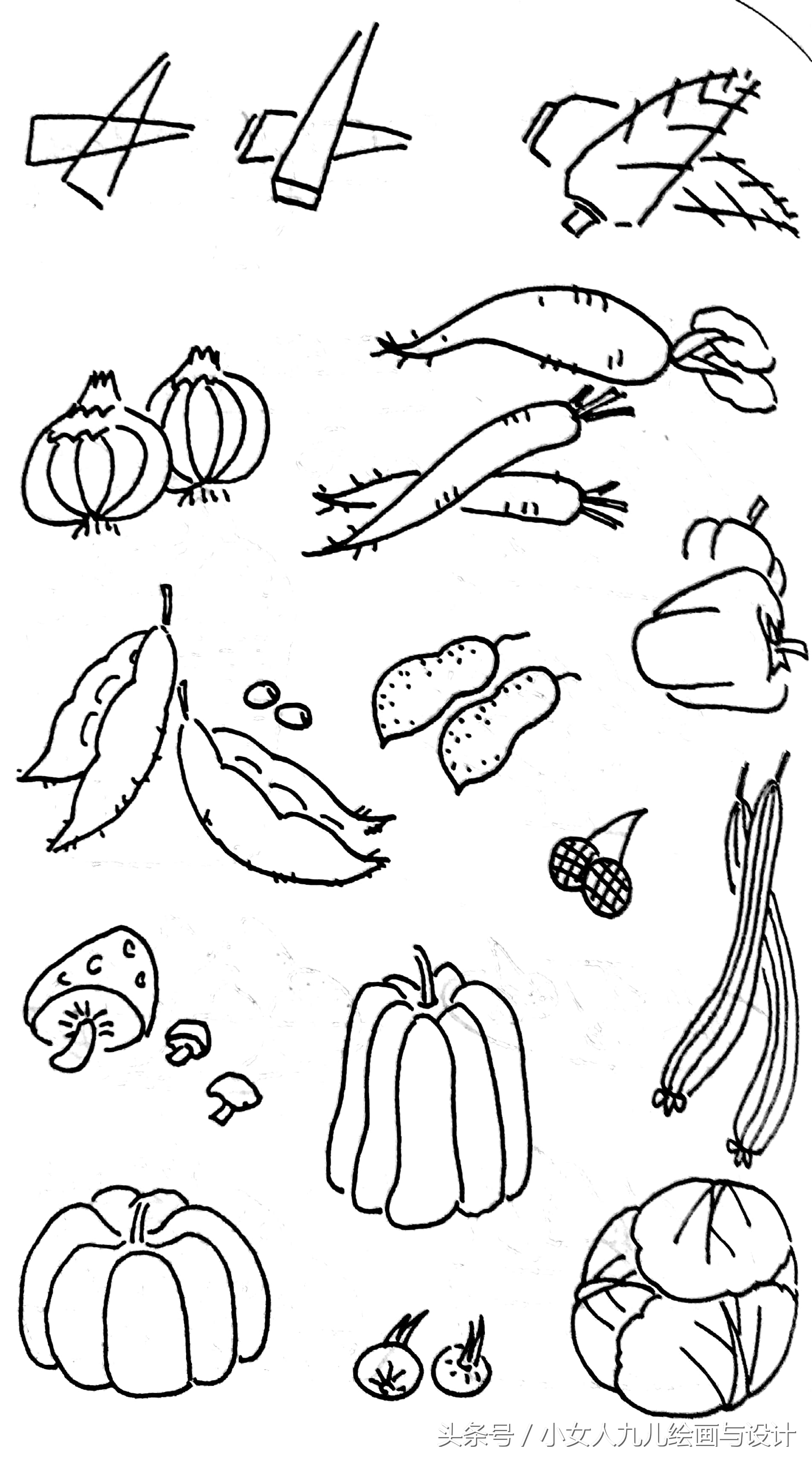 水果蔬菜简笔画线描组合,五六月应季水果和蔬菜简笔画