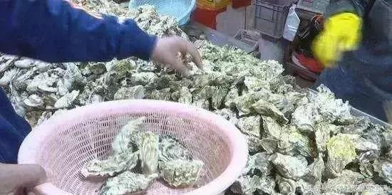 开海后的生猛海鲜已抵达秦皇岛,秦皇岛开海前的海鲜