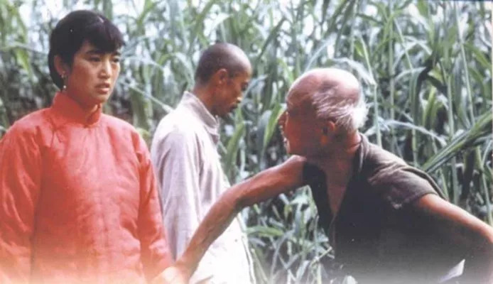 所谓爱情就是奋不顾身,所谓爱情就是一场执念