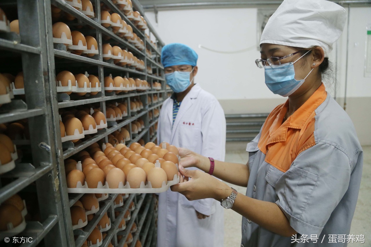 家禽癌症,家禽癌细胞炖汤能杀死不