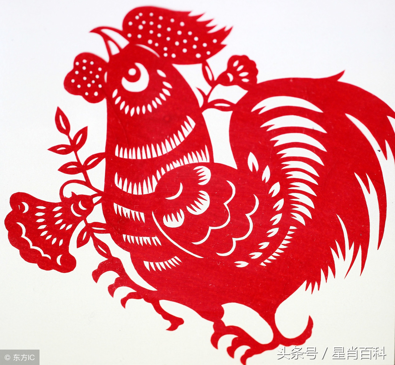 怎样佩戴十二生肖守护佛,吉祥物怎么戴身上不会掉