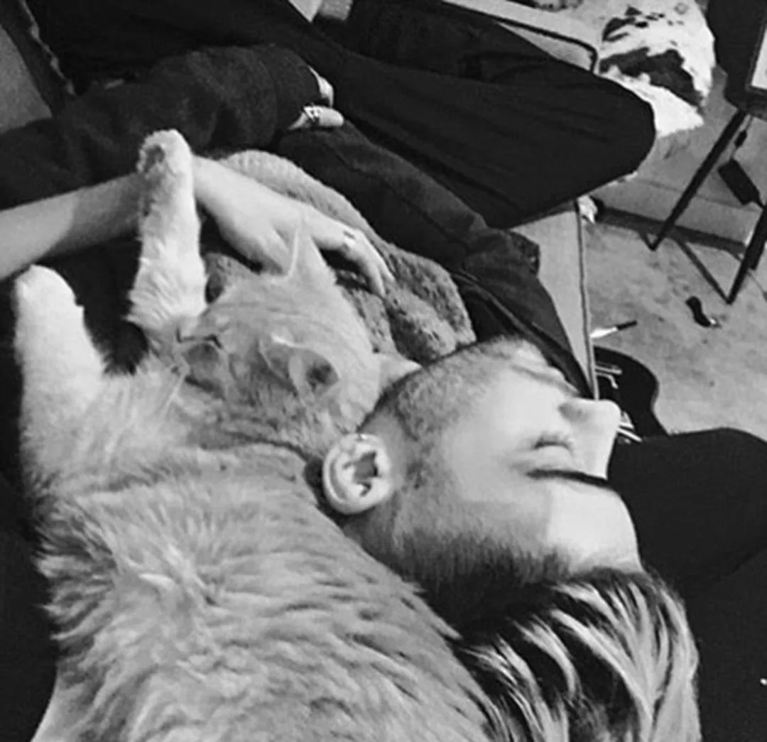 维密超模猫咪,维密秀猫咪