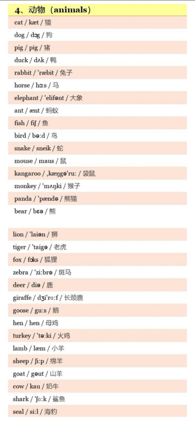 小学800个英语单词带音标,小学英语五年级上册人教版单词