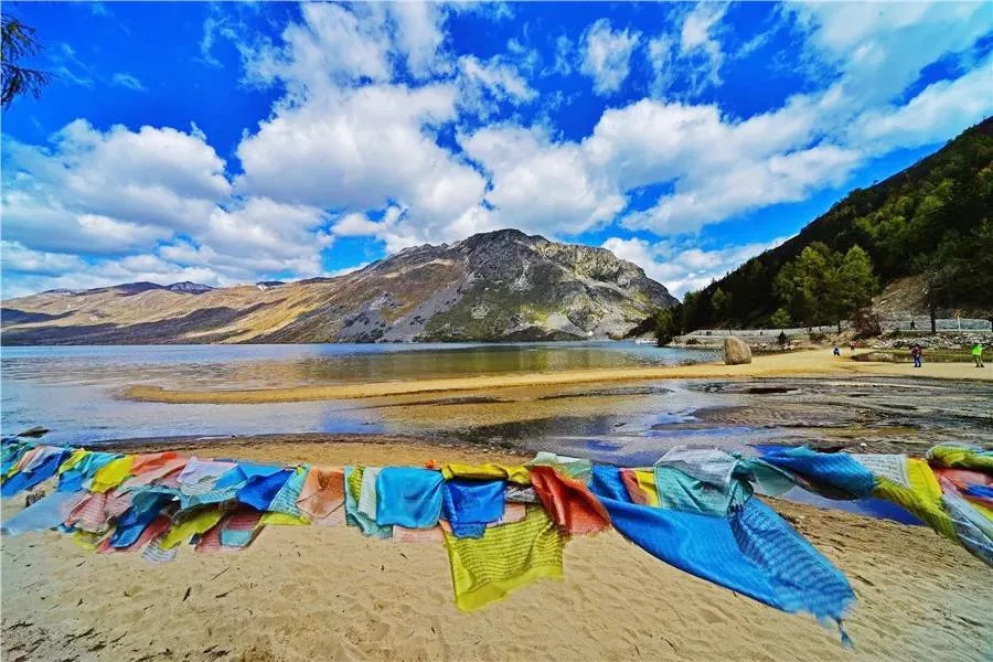 「教师节」木格措免门票，观光车5折、游船票5折！