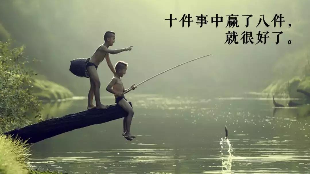 凶猛的哈士奇狗,最大的融创