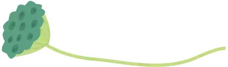 植物窗帘图案,植物窗帘效果图大全