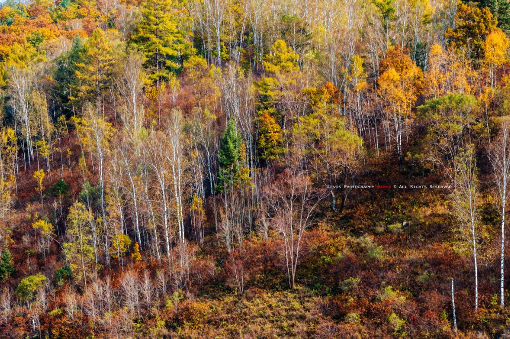 我存了256G的小黄片想和你深夜一起看