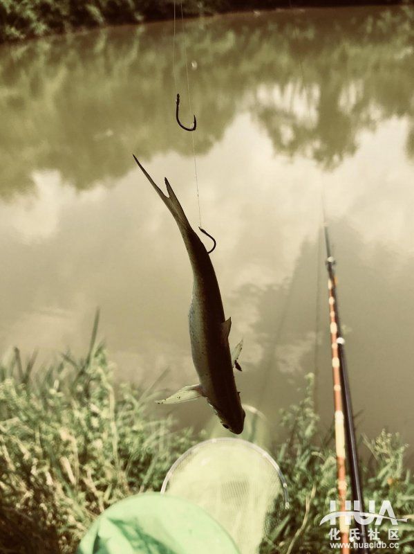 闲来游钓山水间，野塘子里上奇货！