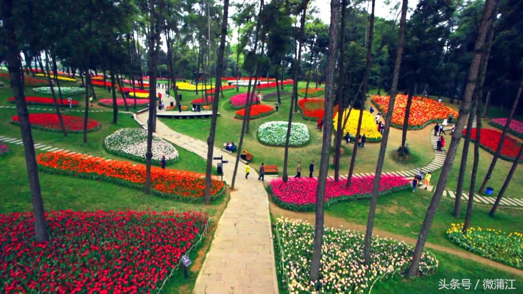 于城市后花园遇见生活美学石象湖景区美skr人！