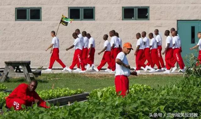 跟受了诅咒似的，为何美国这个国家和囚犯如此的有缘？