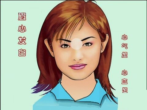 中基中诊题目,中基中诊理论知识重点