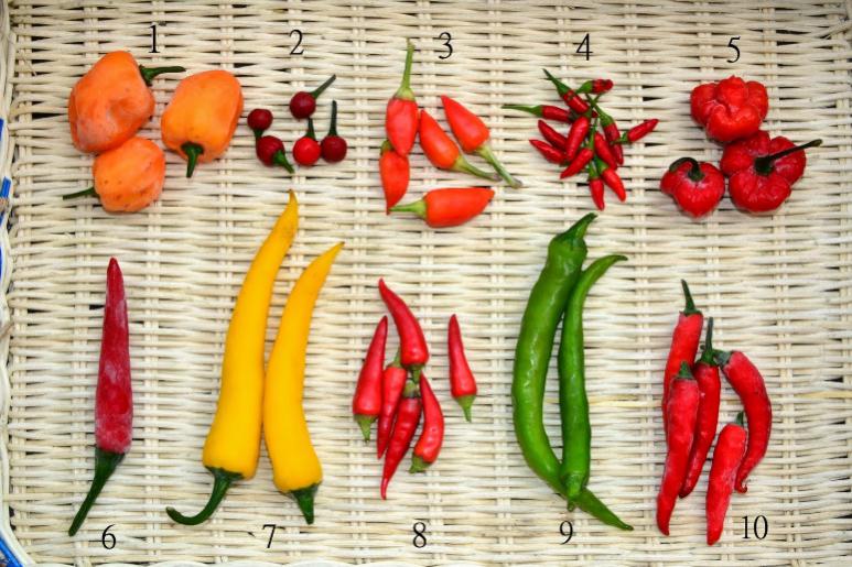 eltamd精华,eltamd抗初老精华