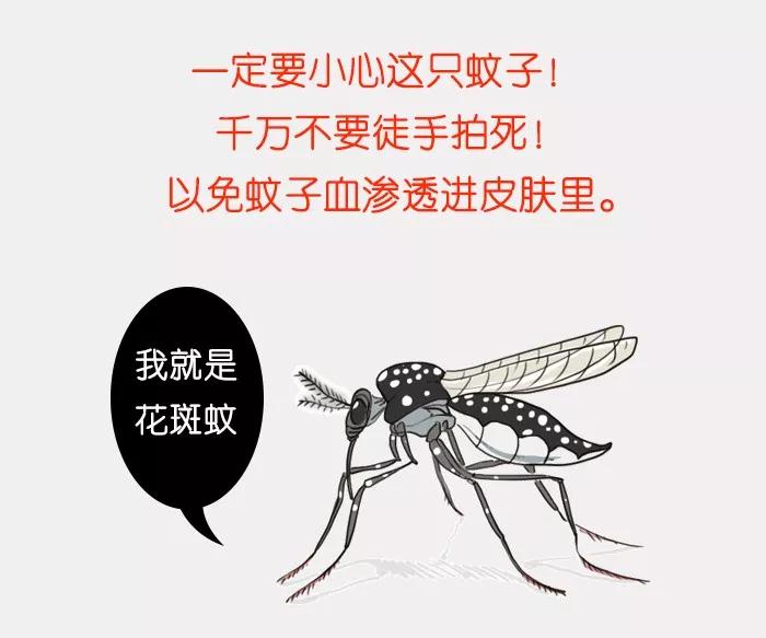 广西恙虫高发期,危险警告八种毒虫