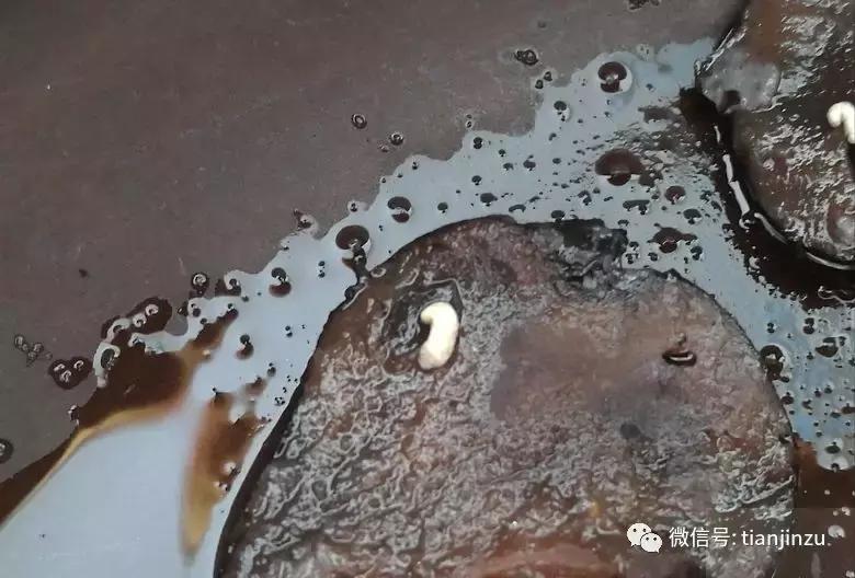 好恶心！天津姐姐在正规药店里抓来中药，竟煮出来了虫子