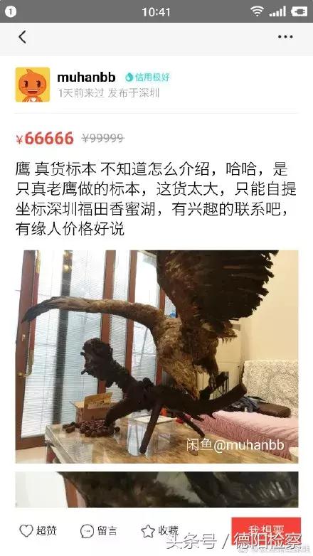 闲鱼低价卖动物,闲鱼能卖动物吗