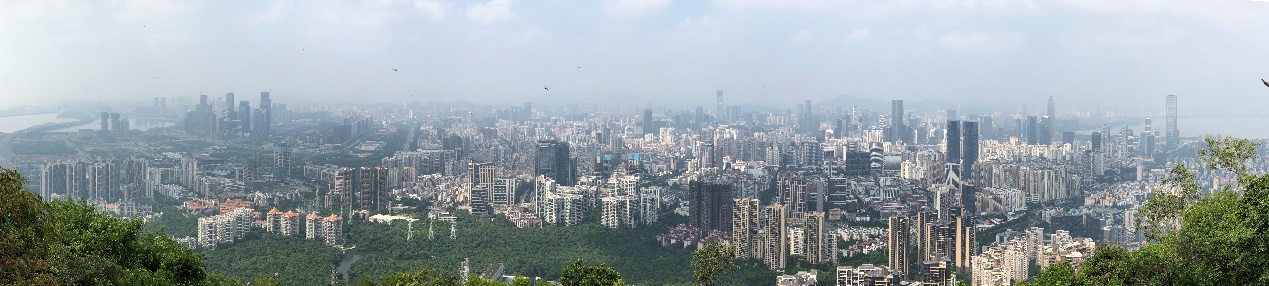 深圳南山周末玩乐推荐,深圳南山中山公园一日游攻略