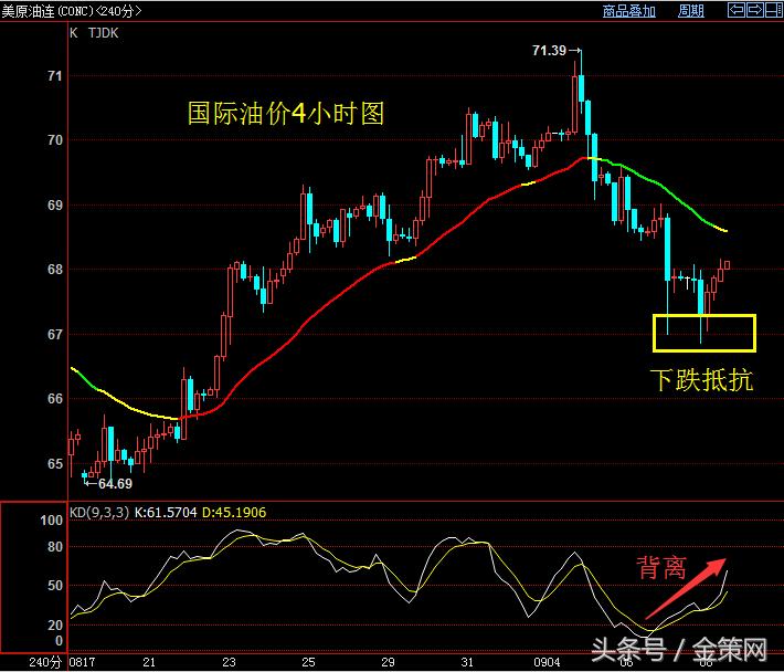 金策网最新研究进展,金策网最新消息