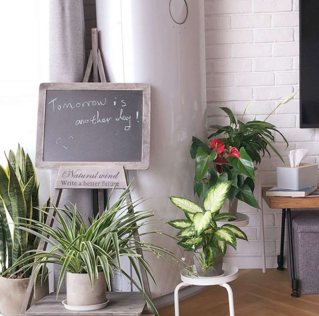 旅行达人宅家日常,90后旅行达人