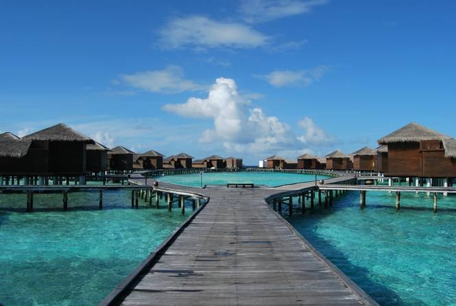 马尔代夫最强选岛攻略！摇旗呐喊一定要看！