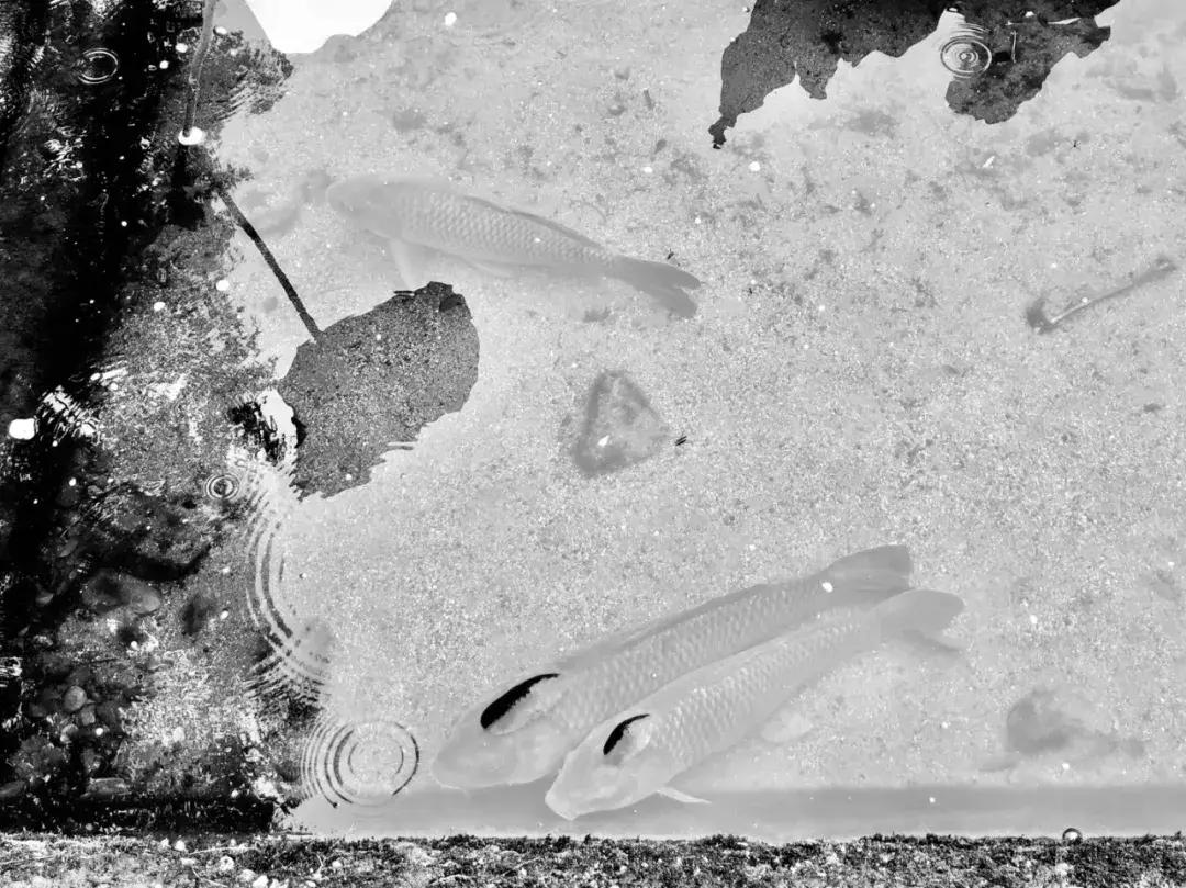 旅行是检验一个人的最好方法,旅行是所有关系的试金石