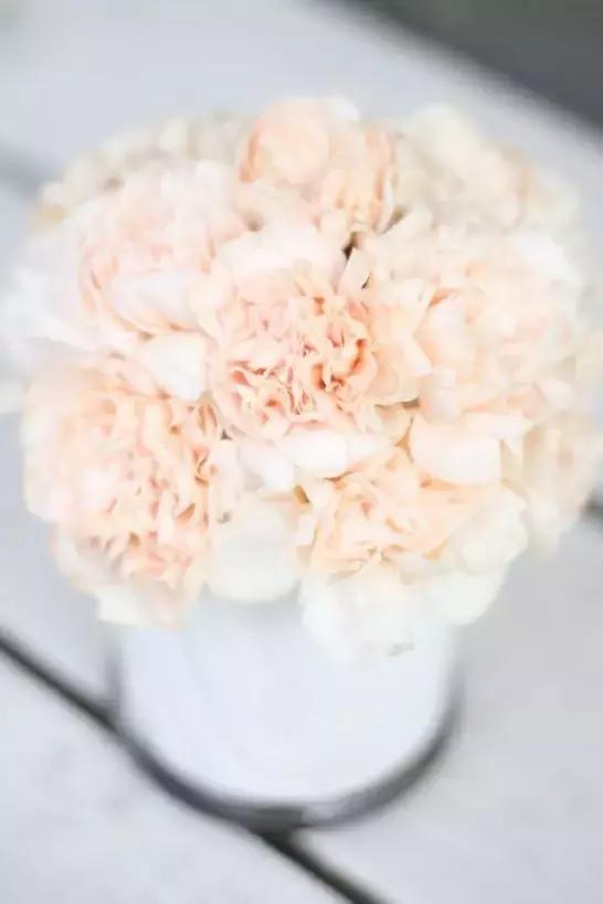 师生恩情古诗词,师生恩情的诗句大全