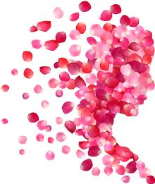 广东省中医院妇科主任医师王小云,中医妇科月经失调