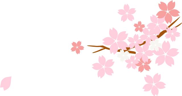 王小云中医调养盆腔炎,妇科名医王小云