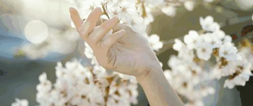 胶原蛋白真的可以冻龄吗,关于胶原蛋白的小知识