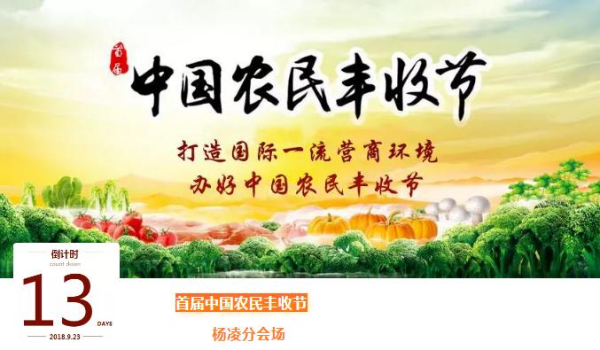 杨凌自贸区未来5年发展前景,杨凌自由贸易中心