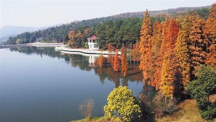 武汉春游一日游攻略,武汉最强春游攻略在此