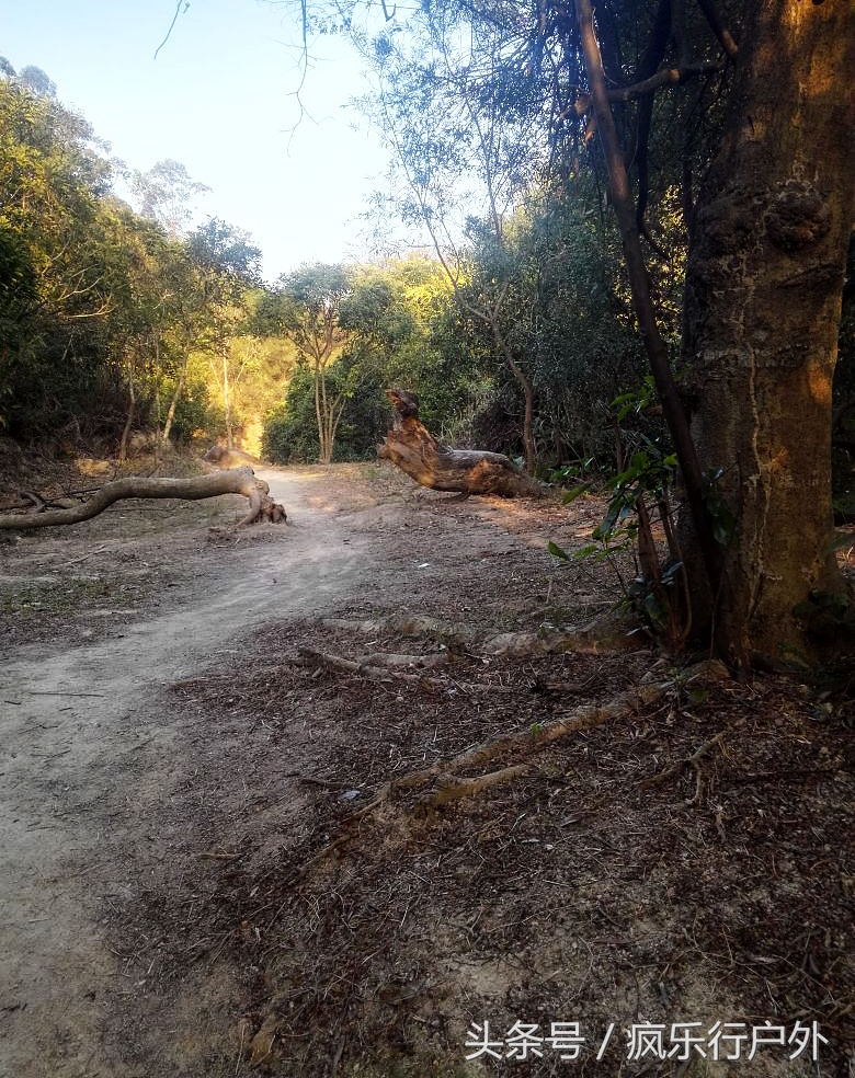 广东中山的五桂山秘境,中山煎鱼湾的入口