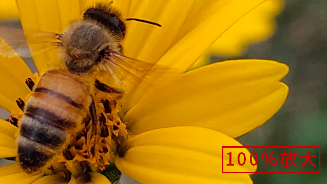 vivox23骁龙670八核,vivox23骁龙670玩原神