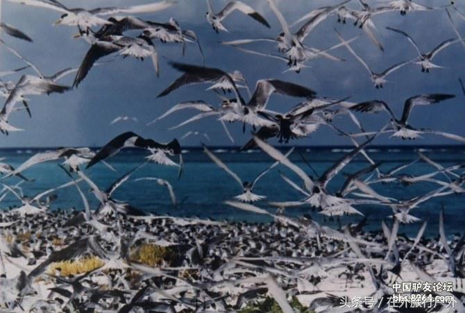 中国的西沙群岛地理全貌,中国西沙群岛历史