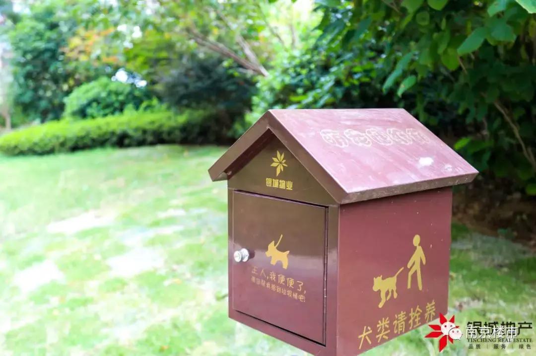 南京银城精装修房怎么样,南京银城的房子能买吗