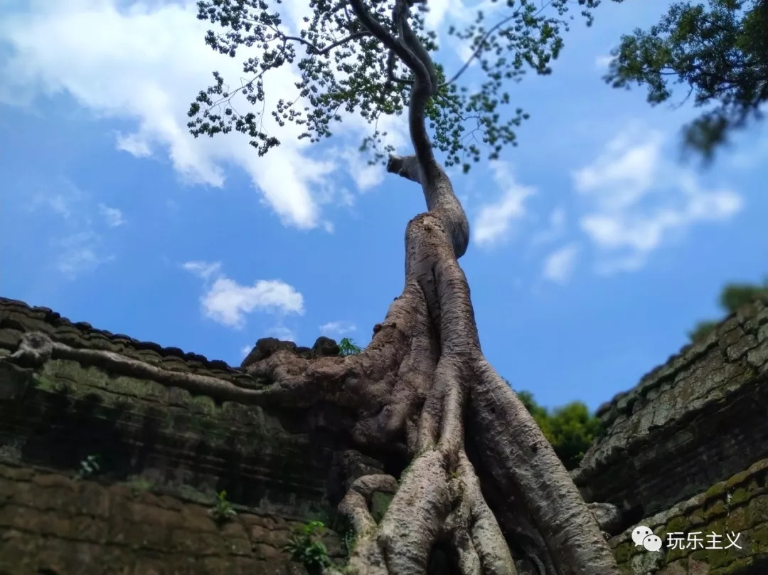 吴哥游玩详细攻略 (想把吴哥逛美了)