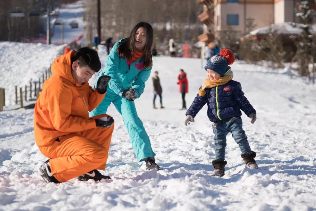 河北各市免税店数量,河北4个免税区都在哪