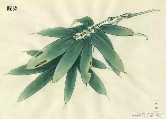 荷叶工笔画用什么方法渲染,工笔画渲染视频教程花卉