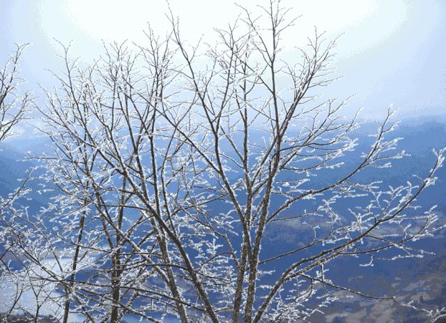 川西不次于牛背山的观景平台,比牛背山更近的贡嘎观景平台