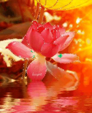 会动的视觉图片14张,会动的图片21张太美了