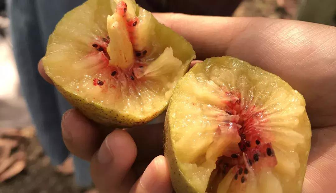 四川被忽略的景点,成都邛崃藏在深山中的世外桃源