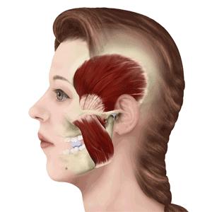 赵丽颖发文解释停工原因,赵丽颖因停工休息登上热搜榜
