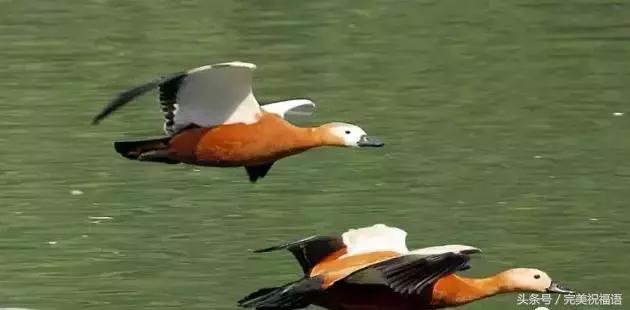 今天9月12日，千年一遇的双福日，双倍祝福送给朋友们愿你幸福久久