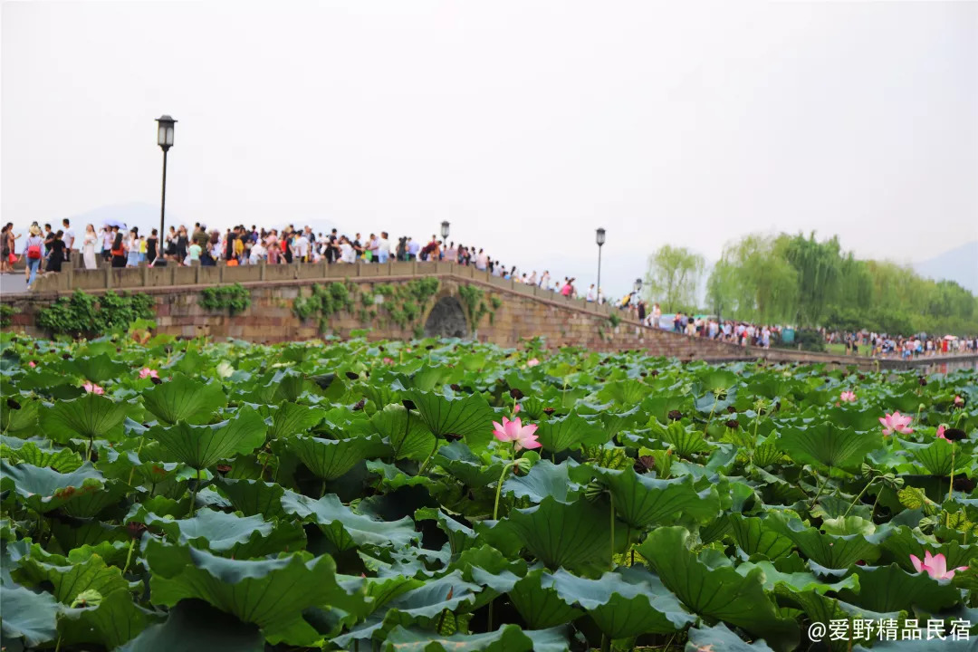 杭州3天2夜｜西子湖畔，脚步丈量这座底蕴深厚的城-爱野精品民宿