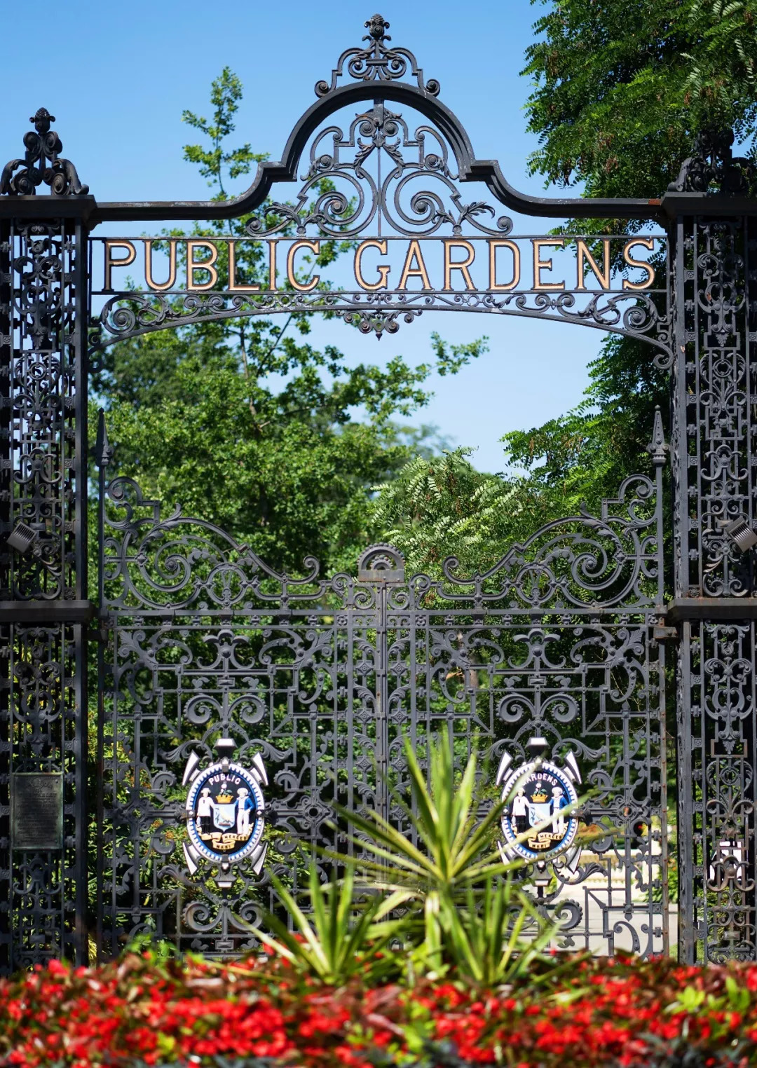 打开王潇的手账，约会加拿大新斯科舍省，遇见不一样的生活惊喜