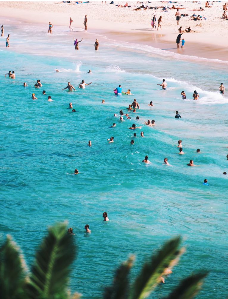 澳洲代购有多坑,澳洲代购一般买什么