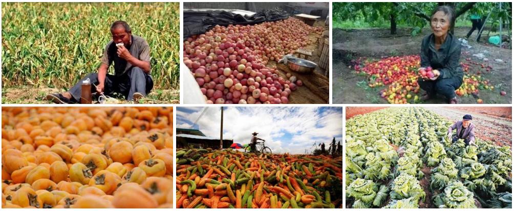 挣钱越来越难了,现在挣钱越来越难了应该如何挣钱