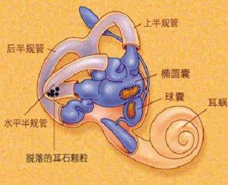 神奇的感觉都有哪些,神奇的感觉完整版