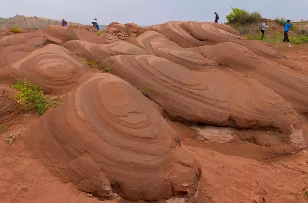 国内最美的十大海滨城市,国内最撩人的20个金秋童话