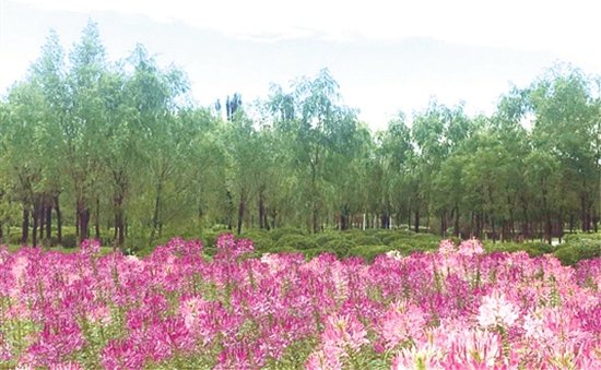 打造文明城市靓丽新名片,关注文明包头