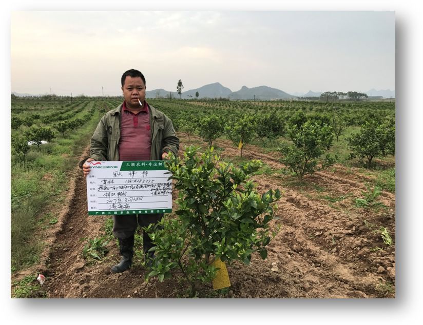 风靡市场16年,100多万橘农持续使用!这款超级大单品怎么炼成的?